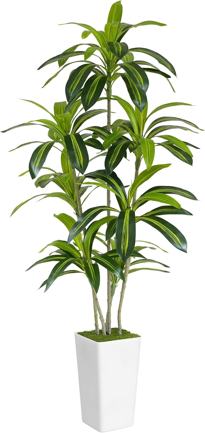Artificial Dracaena Tree 6ft Tall - Green Silk Realistic Fake Plants for Office Home Living Room Bedroom Decor Indoor Outdoor with Pot Large House Faux Floor Plants