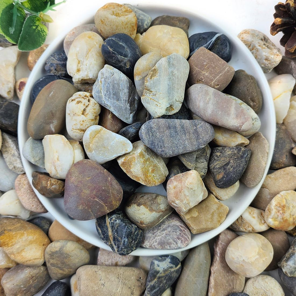 2lbs Aquarium Rocks, 5/8" Natural Mixed Pebbles for Plants Decorative Polished River Rocks for Fish Tank, Landscaping, Gardening, Flower Pots, Vase Fillers, Indoor Water Fountains,