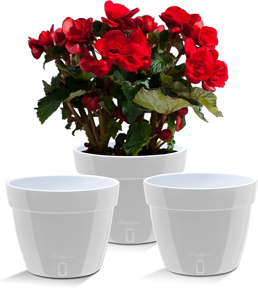 Santino ASTI 7.9 Inch Self Watering Planters Grey/White (Set of 3) for Indoor Plants - Premium Quality Modern Plastic Pot w/Water Level Indicator for All House Plants, African Violets and Dahlias