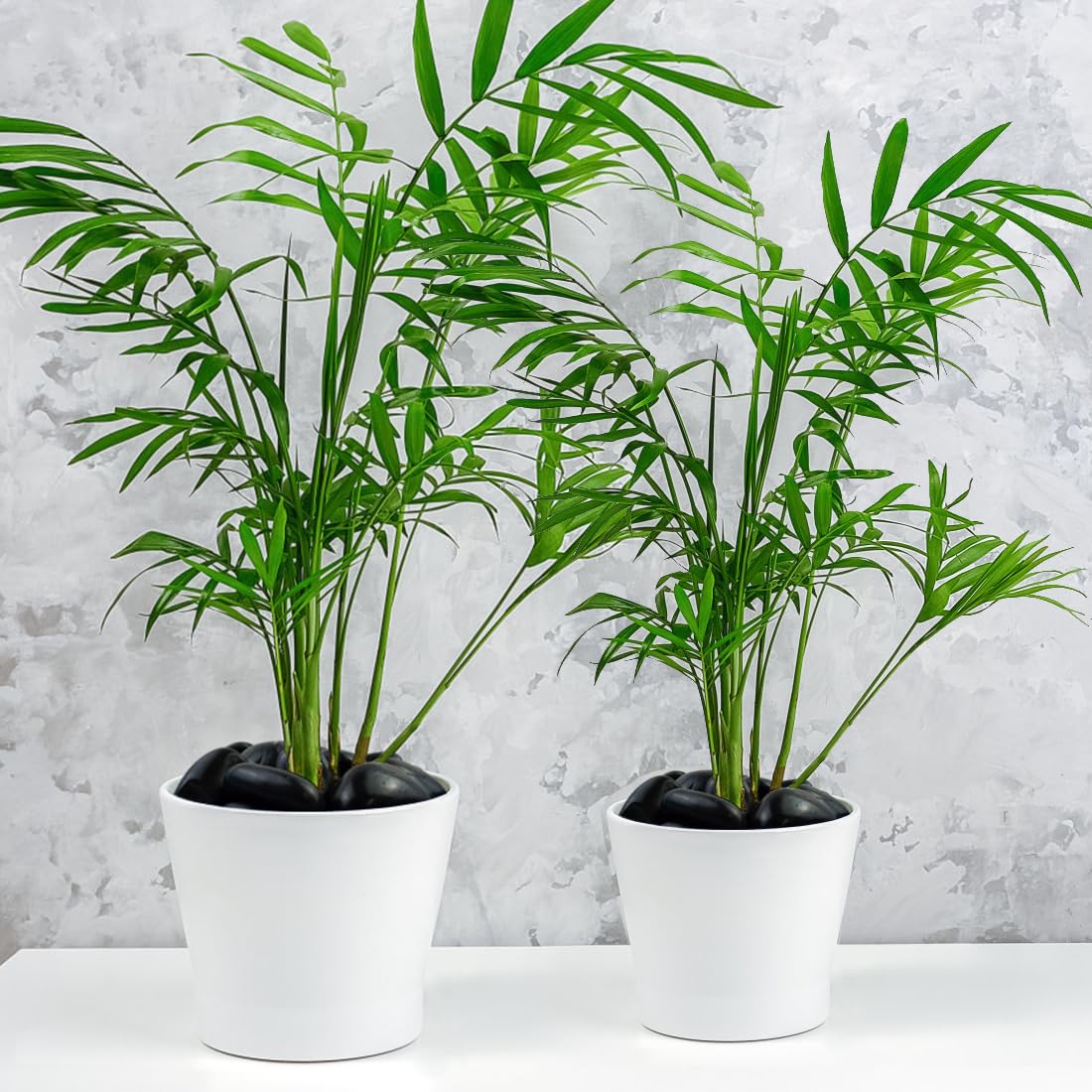 40lbs Black Rocks for Landscaping, 2-3 Inch High Polished Pebbles Natural Large River Rocks for Plants, Decorative Stones Garden Outdoor and Indoor DIY Vase Filler Fish Tank Aquariums