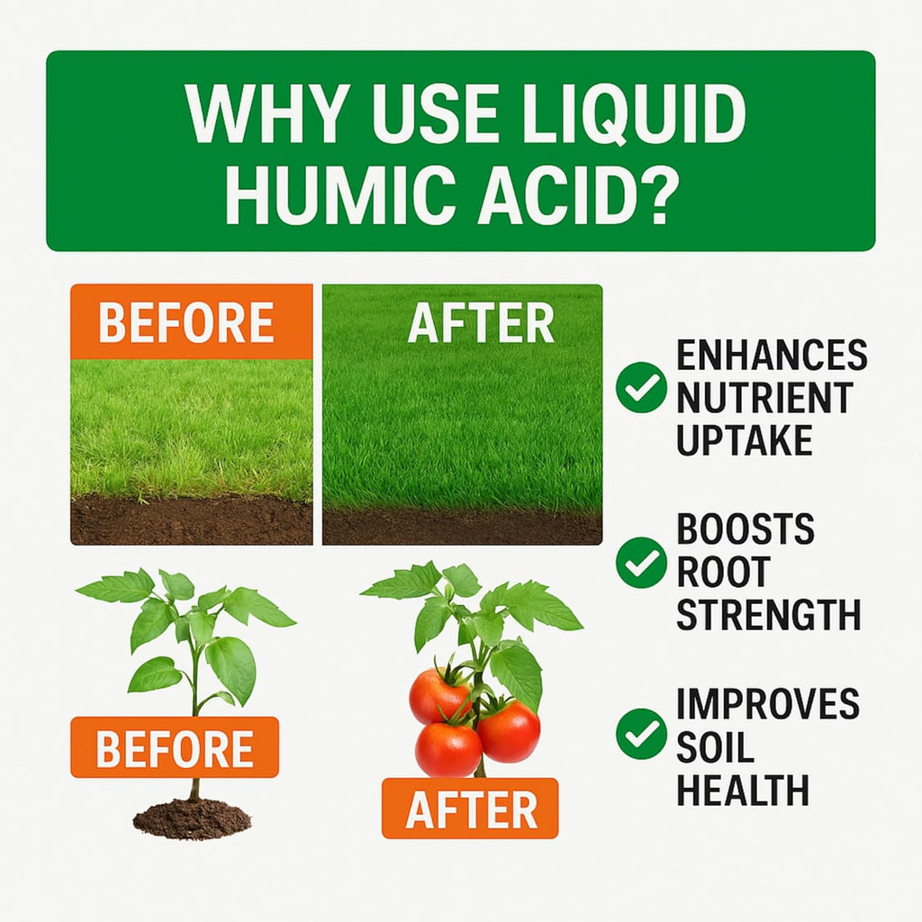 Humic Acid - Organic Liquid Humic Concentrate with Fulvic Acid - (5 Gallon Drum) - Multi-Purpose Soil Conditioner - Suitable for Gardens, Lawns, Houseplants & Trees