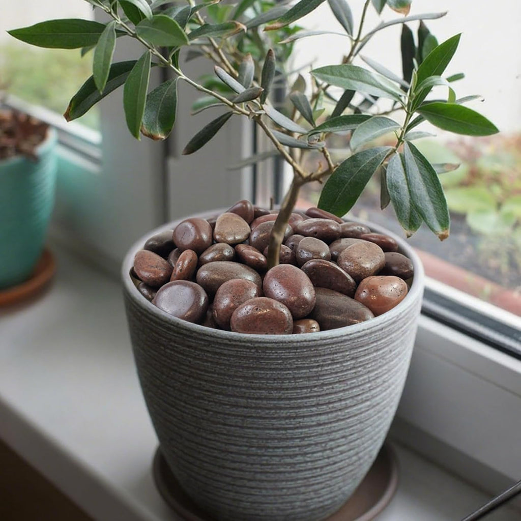 40 lbs Red River Rocks for Landscaping, 2-3 Inch Polished Pebbles for Indoor Plants, Decorative Rocks Stones for Vases, Aquariums, Fountains, Pathways, Backyard and Garden