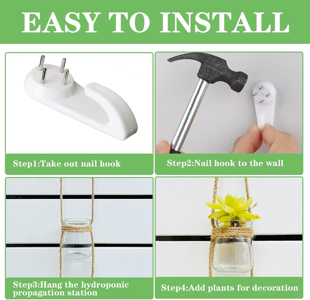 3pcs Glass Flower Vase for Hydroponic Planter Terrarium，Wall Hanging Propagation Station for Plant Cutting Home Office Living Room Garden Decor (Round)