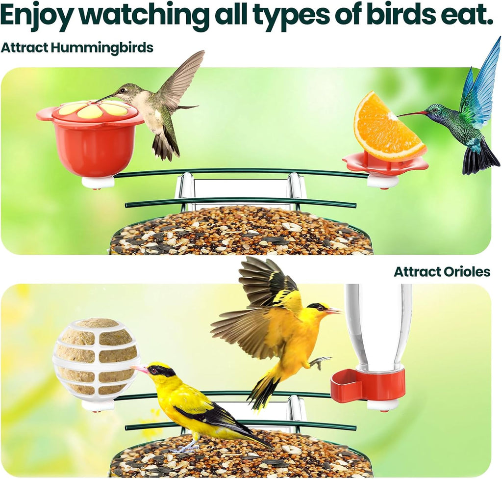 SOLIOM Solar Bird Feeder with Camera for Outdoors - AI Smart Birdhouse, 2K Live View & Instant Alerts, Squirrel Proof - Perfect Bird Watching Gift (Green)