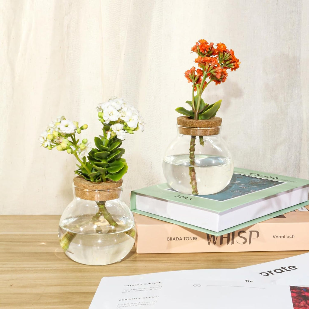 Plant Propagation Station,Hydroponic Terrarium Vase,Desktop Glass Planter Station,for Houses,Garden Decorations,ropagating Hydroponic Plants,Centerpiece Office,Home Garden Decor (6)