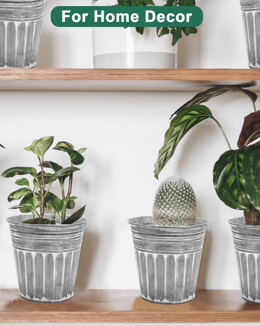 6 Inch Silver Metal Rustic Flower Pots - 6Pcs Galvanized Planters with Drainage Hole and Rubber Plug, Rustproof Metal Bucket Plant Pots Farmhouse Vintage Style for Decor