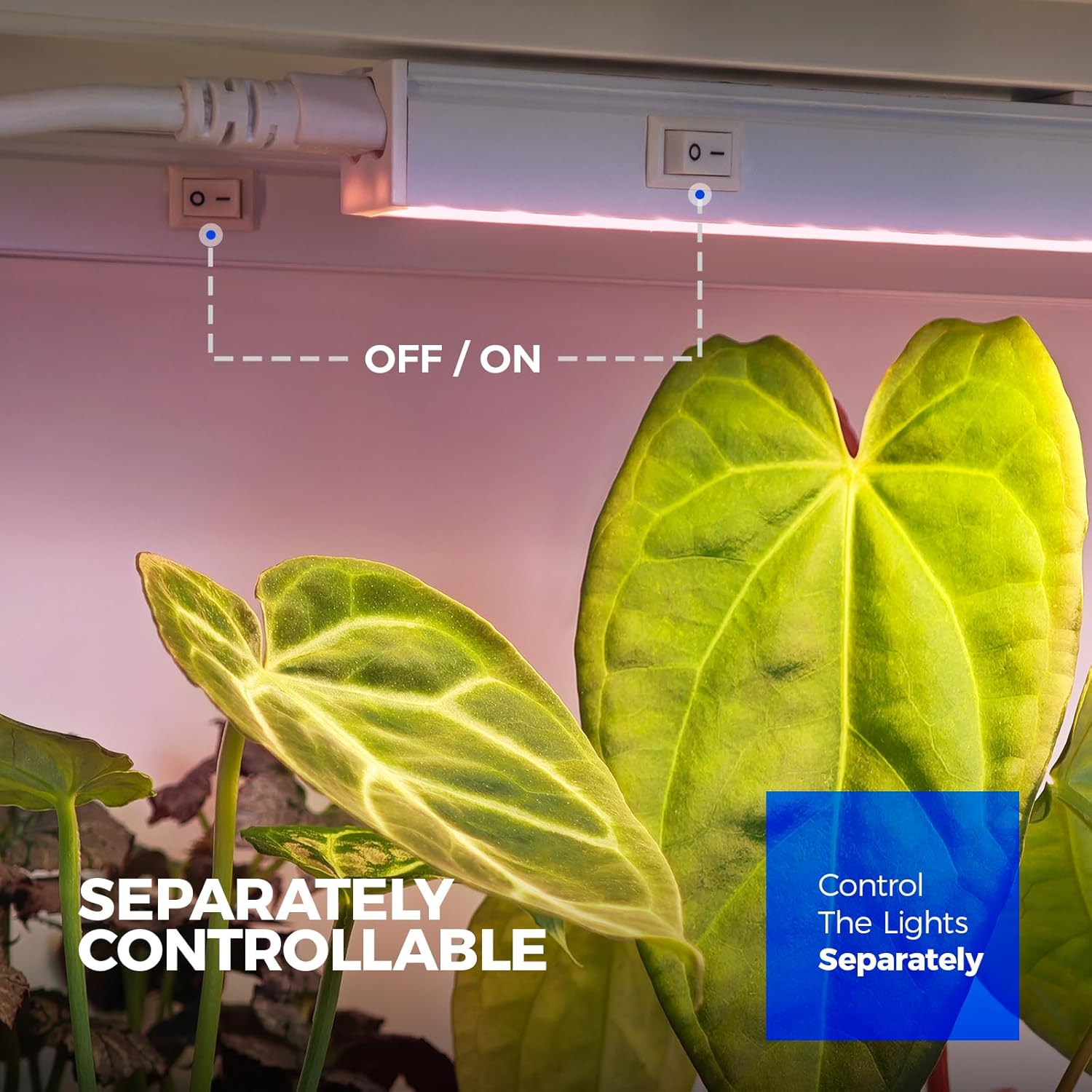 Barrina T5 Grow Lights for Indoor Plants, Full Spectrum LED Grow Light, 2FT 80W (8 x 10W), Plant Lamp for Indoor Growing, Seed Starting, Pinkish White, 8-Pack