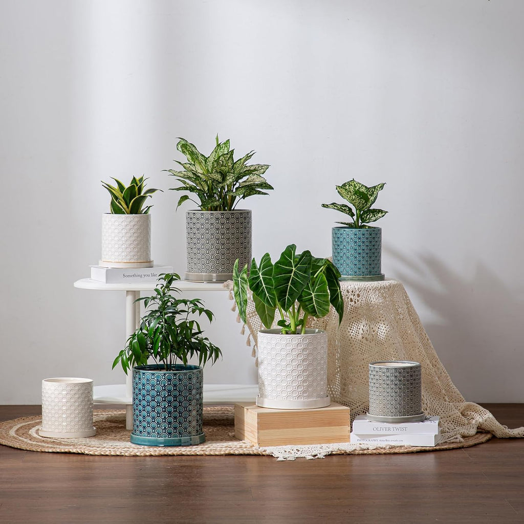 8 Inch Plant Pot: Ceramic Planter with Drainage Hole & Saucer Indoor Outdoor Plants - Cylinder Round Flower Pot for Home Office - Modern Decorative - Medium Grey