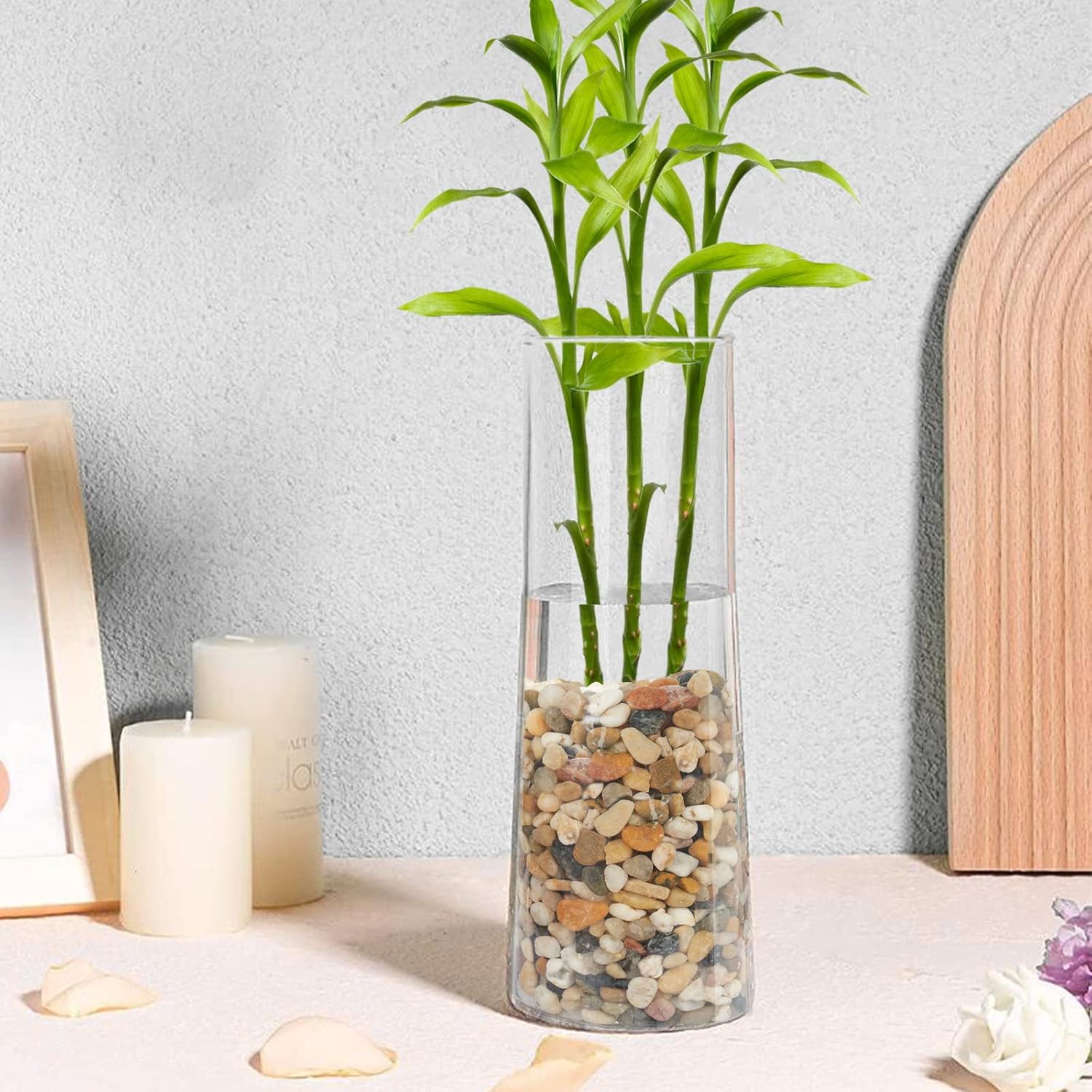 GASPRO 10 Pound Pebbles for Indoor Plants, 3/8 Inch Decorative Rocks for Vase, Succulents, Landscaping, Garden, Highly Polished, Mixed Color