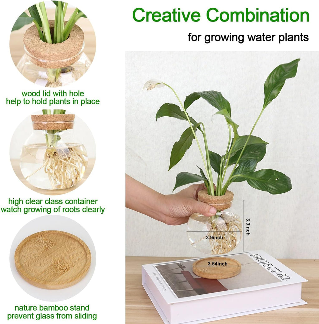 Plant Propagation Station,Hydroponic Glass Container Vase Jars, with Wooden Saucer for Desks, Houses, Garden Decorations, Home Kitchen Decorations and Gifts for Plant Lovers (4)