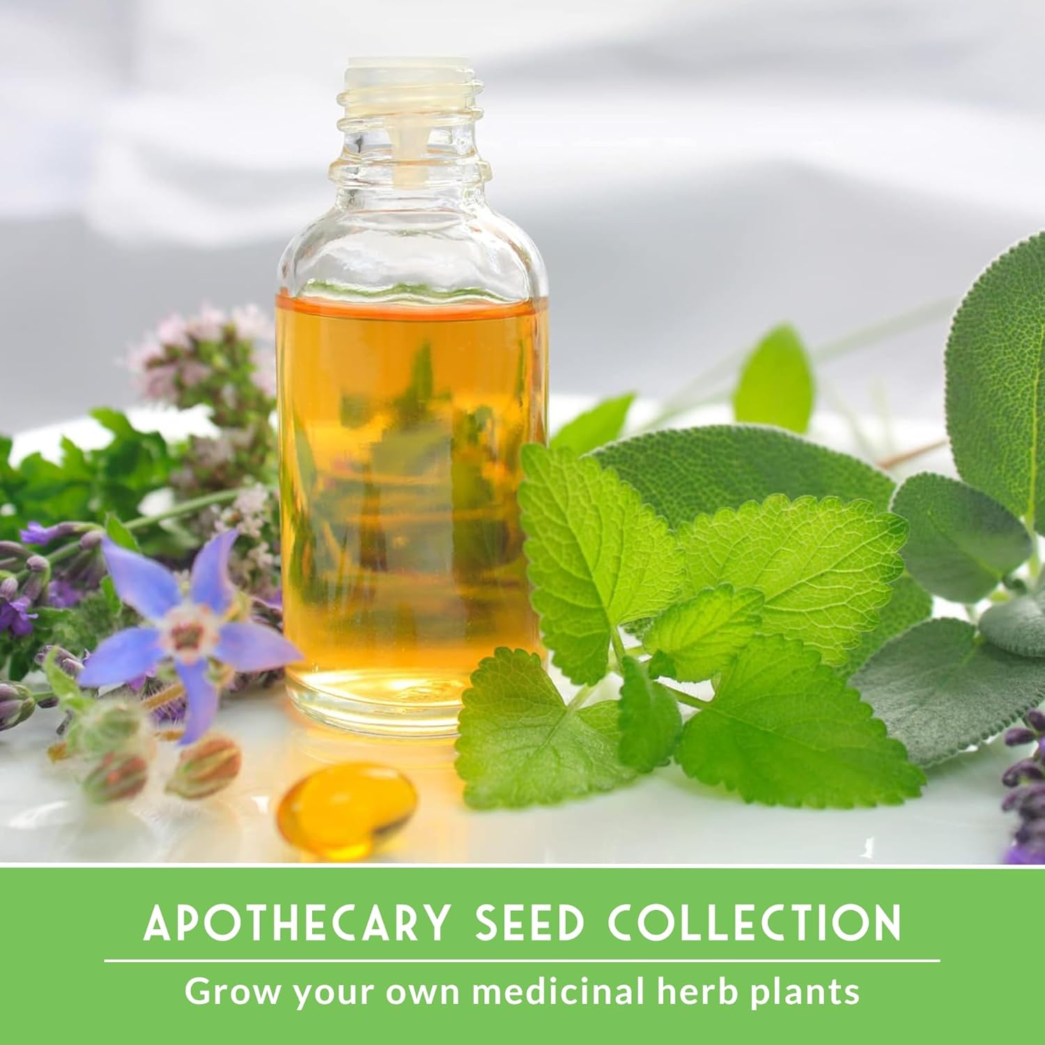 Medicinal Herb Seeds for Planting | 18 Seed Variety Pack of Heirloom, Non-GMO Herbs – Herbal Teas, Tinctures & Home Apothecary Garden Kit – Survival Garden Seeds