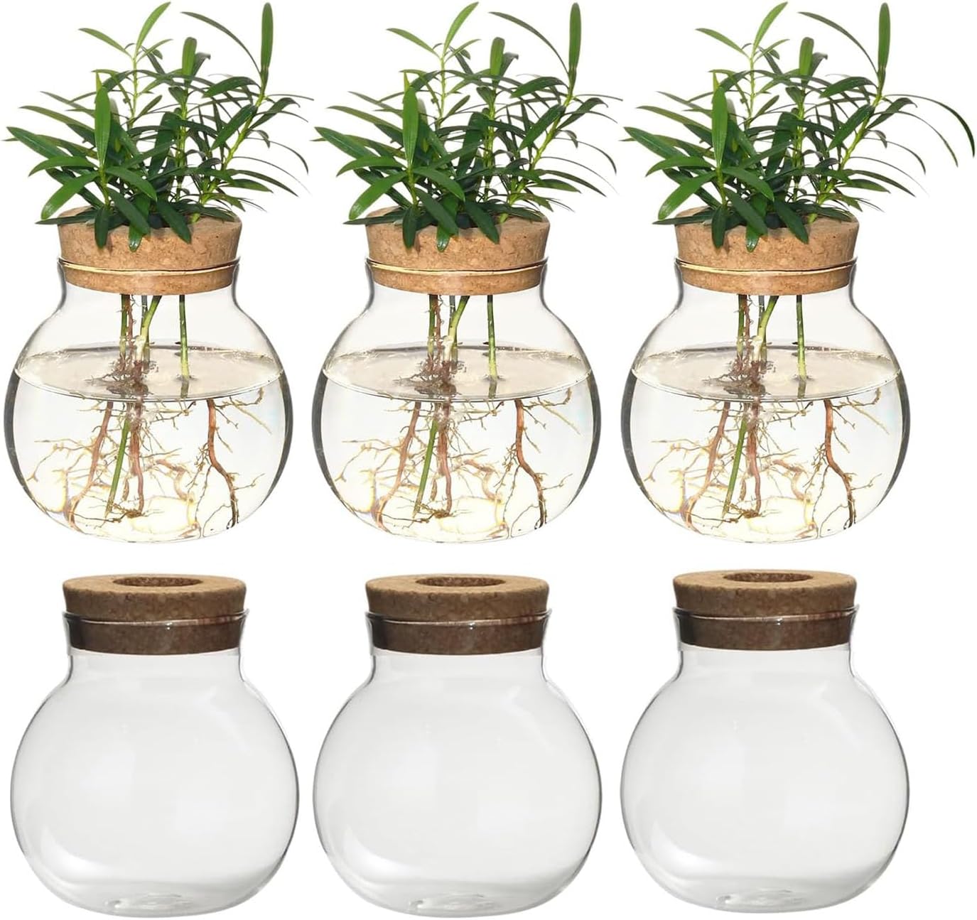 Plant Propagation Station,Hydroponic Terrarium Vase,Desktop Glass Planter Station,for Houses,Garden Decorations,ropagating Hydroponic Plants,Centerpiece Office,Home Garden Decor (6)