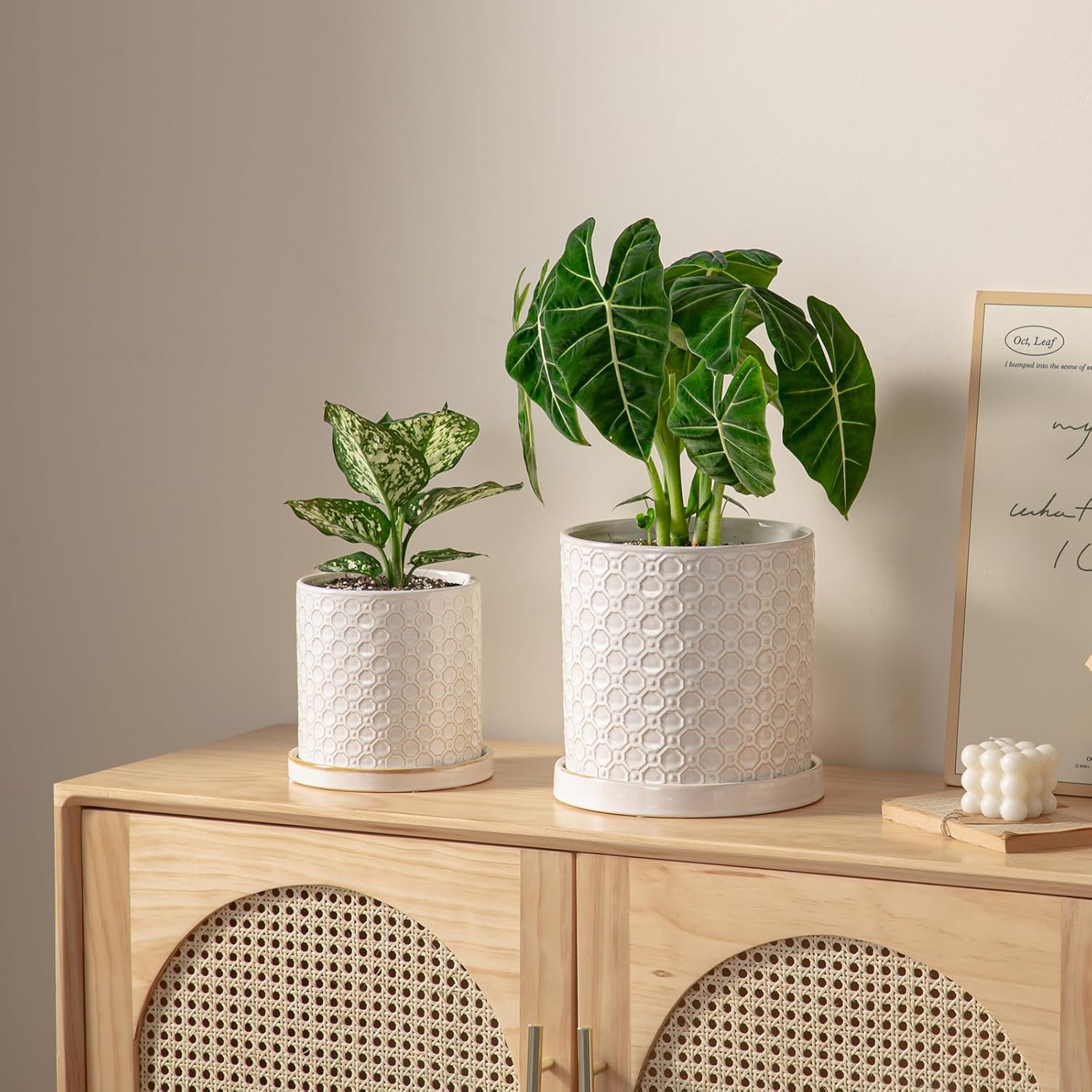 8 Inch Plant Pot: Ceramic Planter with Drainage Hole & Saucer Indoor Outdoor Plants - Cylinder Round Flower Pot for Home Office - Modern Decorative - Medium White