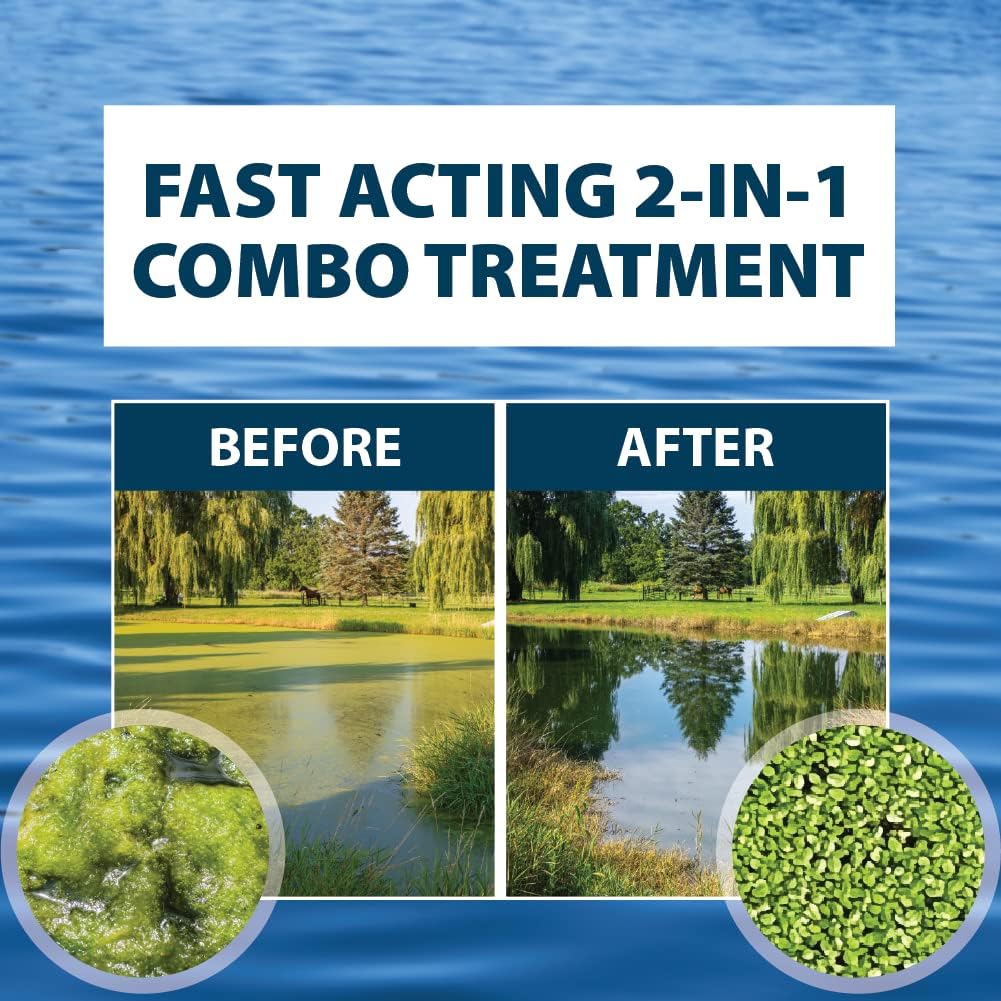 Airmax Knockdown Defense 2-in-1 Liquid Pond Algae Control, Effective & Fast Acting Algaecide, Aquatic Weed Treatment for Clear Water in Ponds & Lakes, Liquid Formulation, 16 oz with Treatment Booster