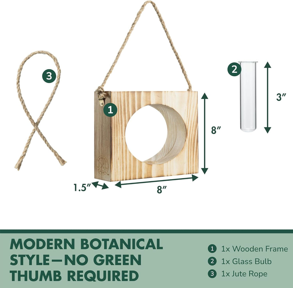 · GARDEN REPUBLIC · Propagation Stations Set of 2 - Propagation Vases for Plants - Hanging Wooden Wall Planter and Glass Test Tubes - Indoor Plant Holder, Hydroponic Decor