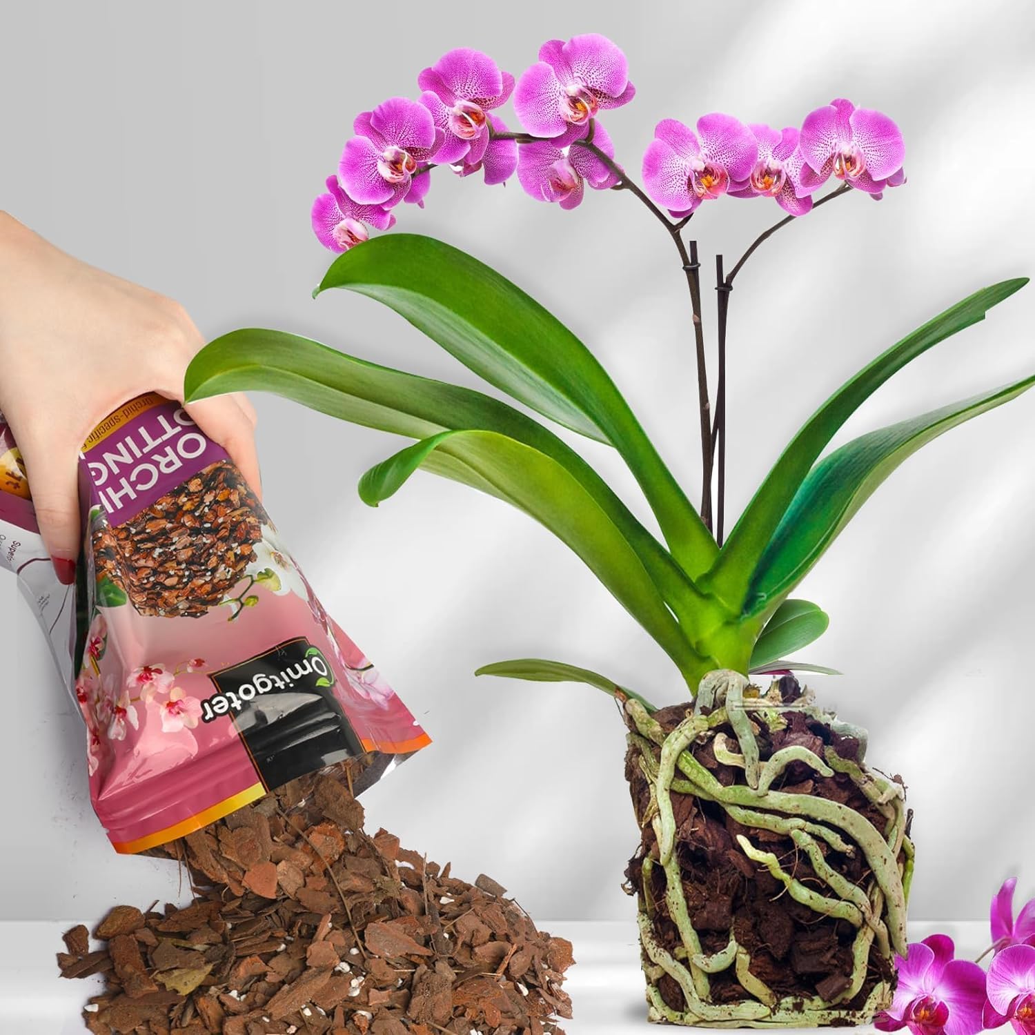 Organic Orchid Potting Mix 1qt, Mixture of Orchid Bark and Perlite, Specifically Formulated for Orchids
