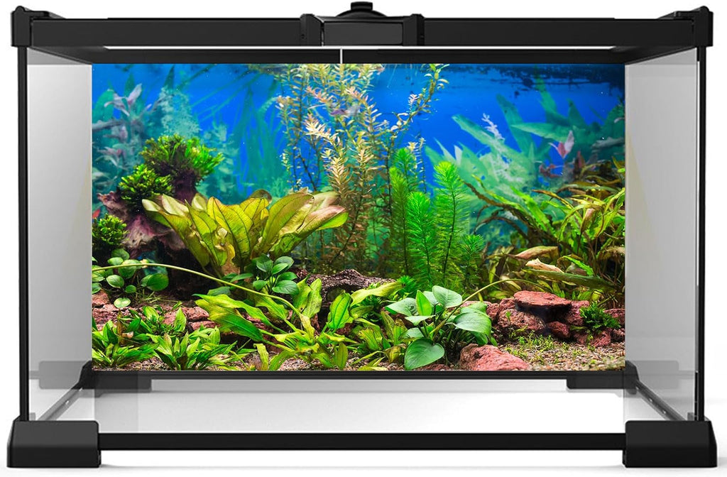 Aquarium Background Various Underwater Grass Plants Aquarium Backdrop Vivid and Fresh Green Aquatic Plants Stone River Bed and Dead Wood Purple Stone Fish Tank Background 36x24in