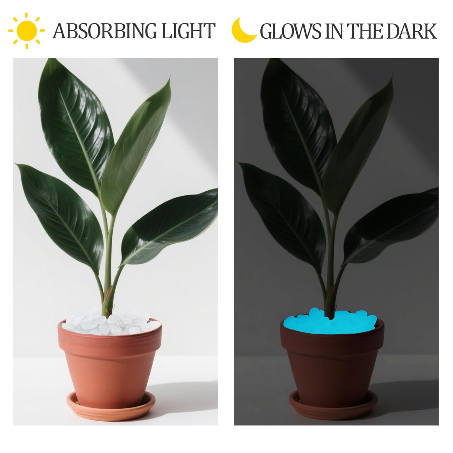 1.4LB 25-27mm White Glowing Pebbles Luminous Stones Glow in The Dark Decorative Stones for Walkways Driveway Yard Grass Fish Tank Plant Pots