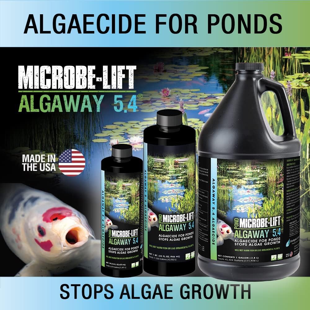 MICROBE-LIFT ALGA32 Algaway 5.4 Algae Control Treatment for Ponds and Water Gardens, 32 Ounces & MLCBSE1L Concentrated Barley Straw Extract Conditioner for Ponds and Outdoor Water Garden,32 Ounces