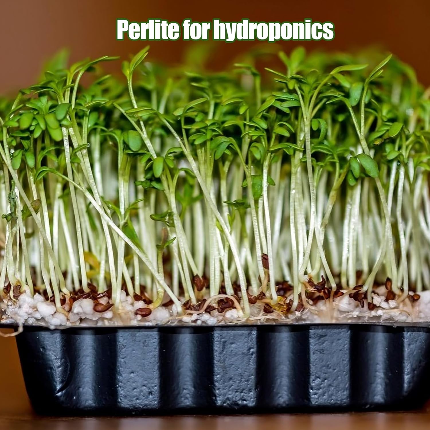 Horticultural Perlite for Plants 1qt, All Natural Horticultural Soil Additive Conditioner Mix, Improve Ventilation and Drainage, Enhance Soil Health and Root Growth