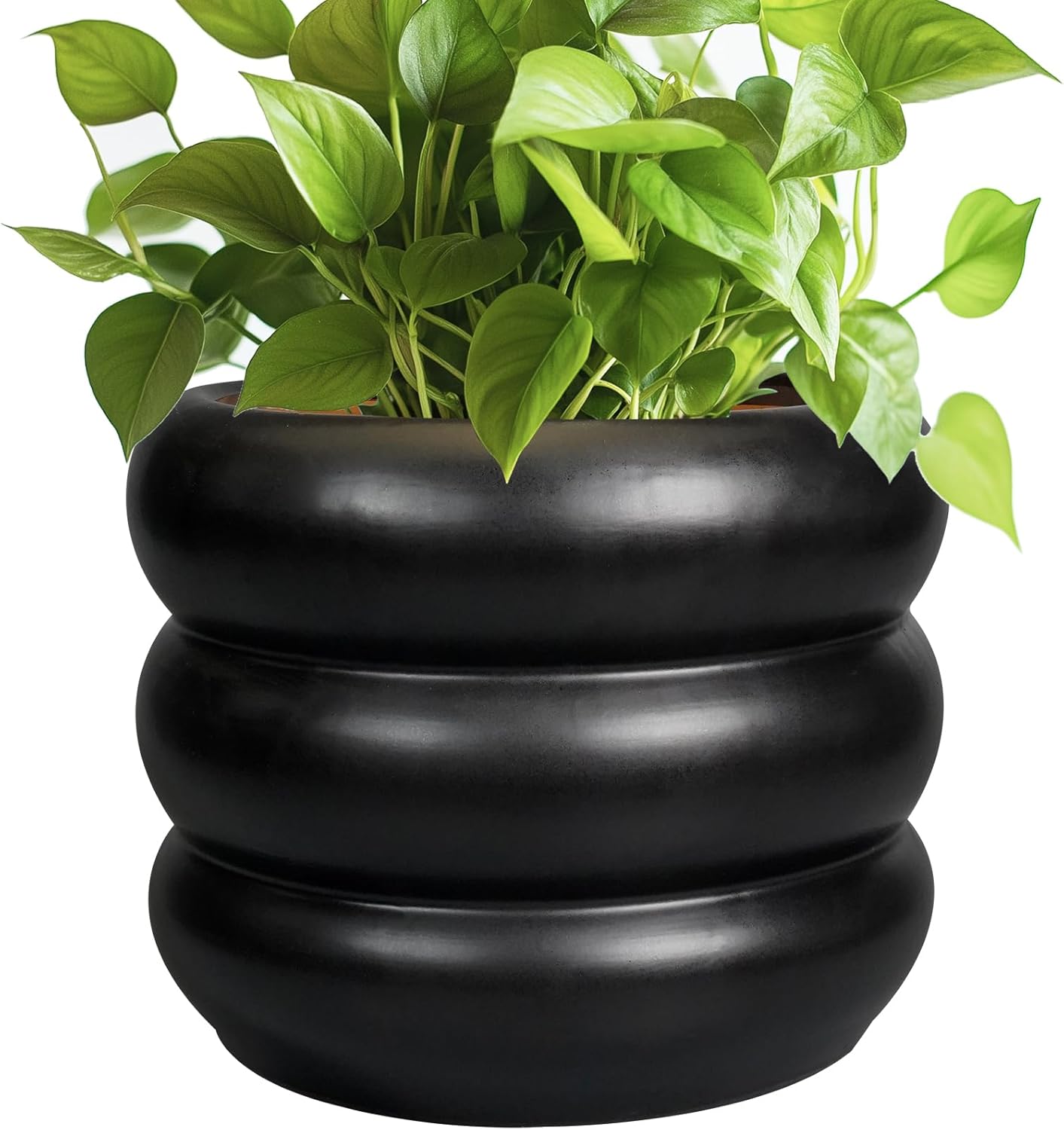 SQOWL Ceramic Pot for Plants 8 Inch - Indoor Plant Pot with Drainage Hole Planter for Outdoor Plants Modern Flower Pot Round Planter for House Home Decor Living Room Black