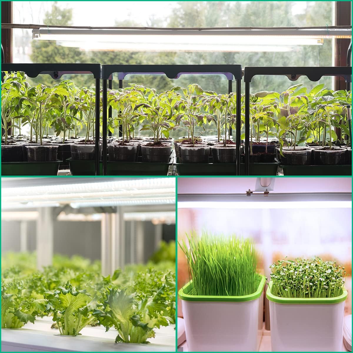 T5 Grow Lights 5000K Full Spectrum,1.4FT (4pcs x 10 Watts) Plant Growing Lamp,End-to-End Connectable Led Light Strips for Indoor Plants Succulents Flowers Growing