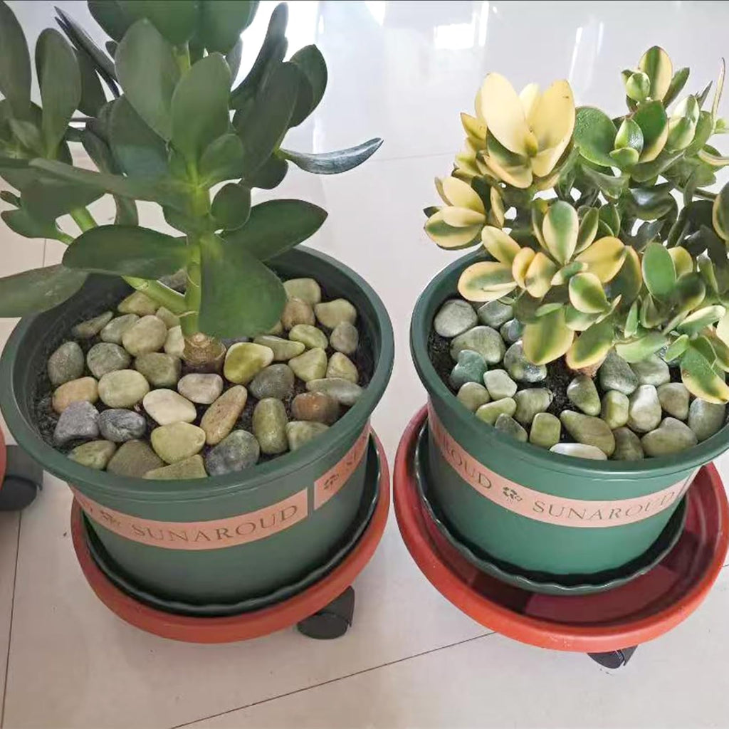 20 lbs Jade River Rocks for Landscaping, 1-2 Inch Decorative Pebbles River Stones for Plants Indoor, Vases, Yard, Crafting and Garden