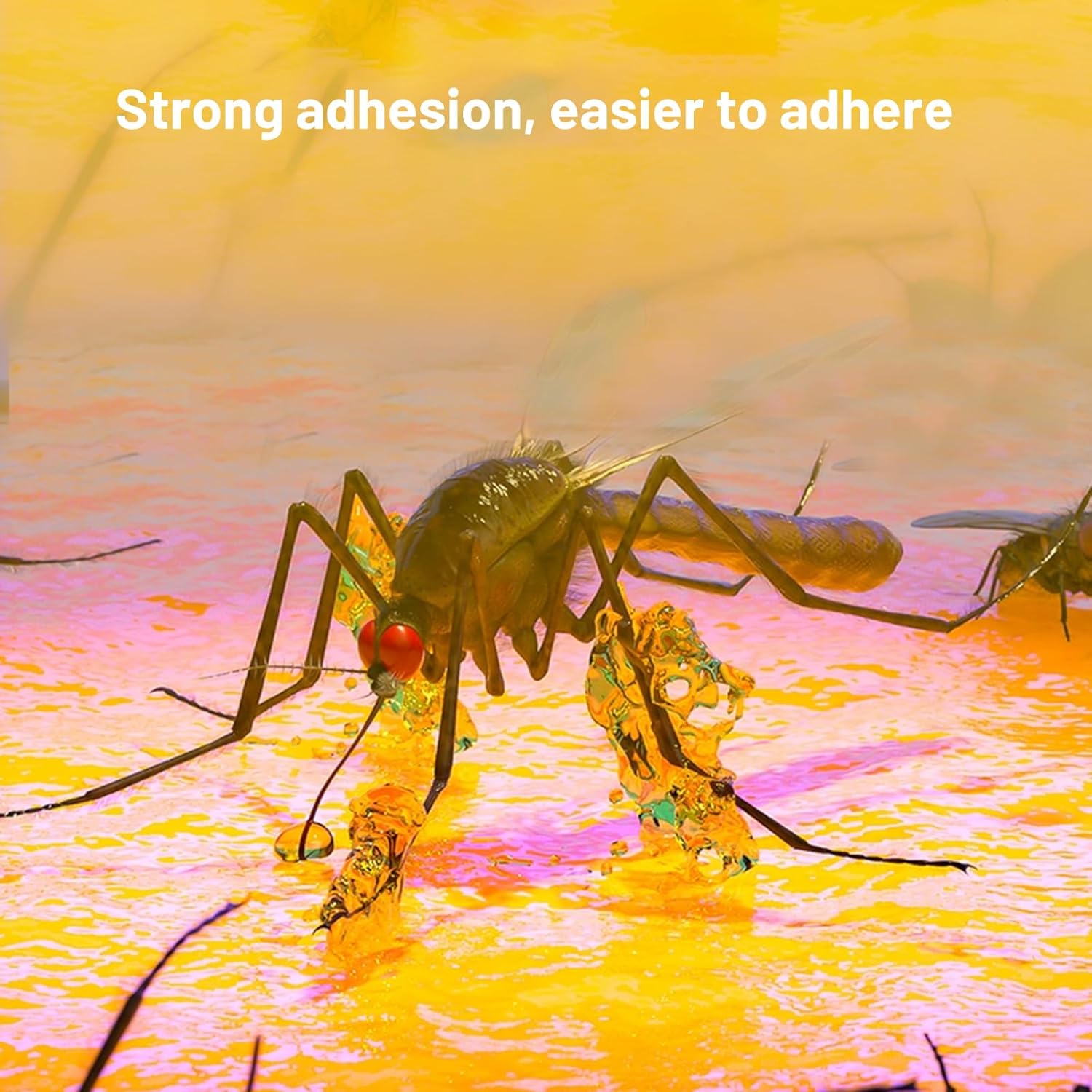 10 Refills UV Fly Light Trap Indoor for Home Gnat Traps for House, Wall Sconce Fly Light Bug Catcher for Kitchen House & Restaurant Fruit Flies Garage & Warehouse