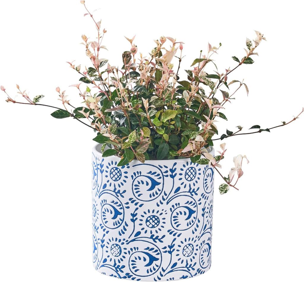 Ceramic Plant Pot for Indoor Plants, 6 Inch Blue & White Floral Porcelain Ceramic Decorative Flower Pot with Drainage Holes, Modern Planter for Home & Office Decor