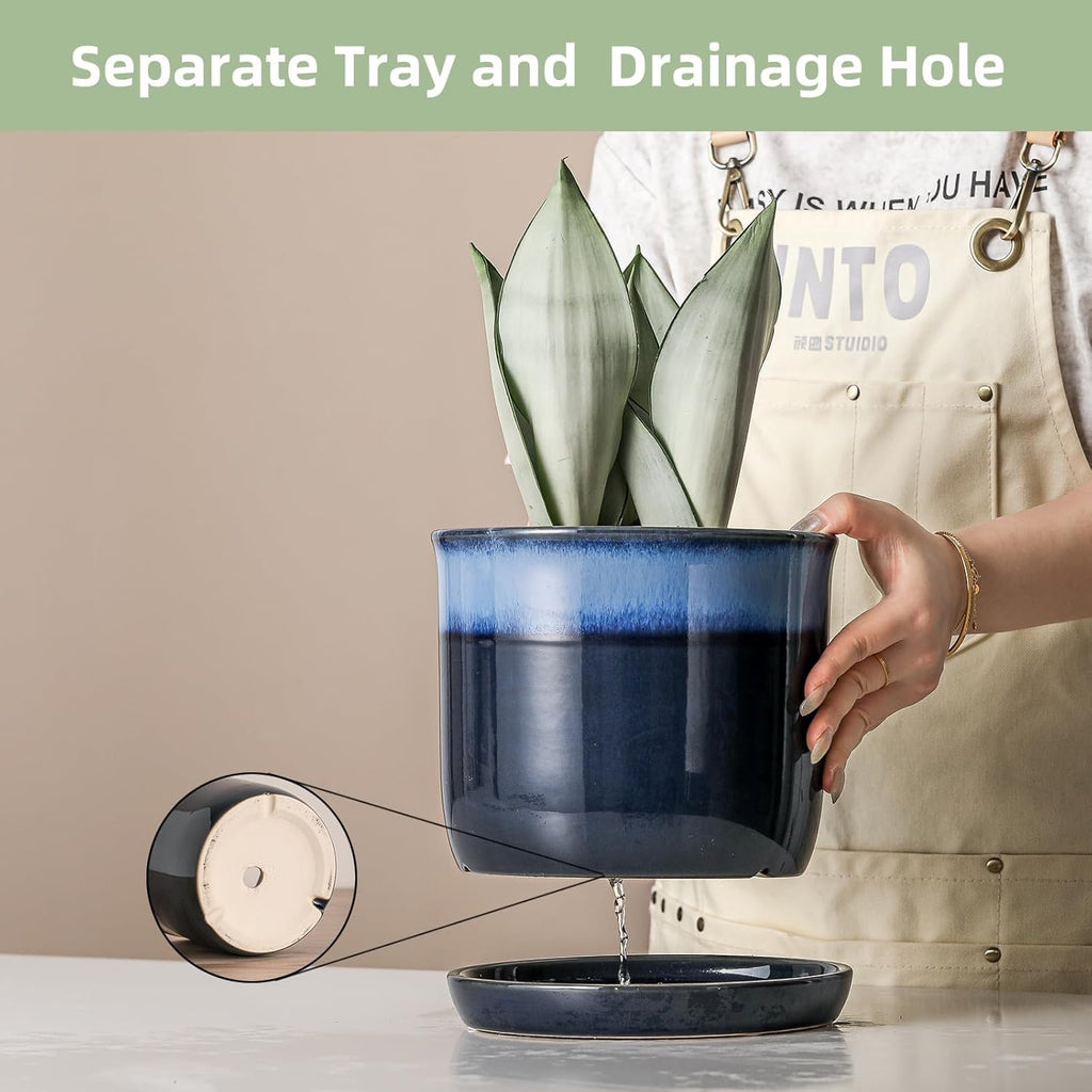 8 Inch Plant Pot: Ceramic Planter with Drainage Hole & Saucer - Gradient Blue Flowerpot for Indoor & Outdoor Plants with Separate Tray