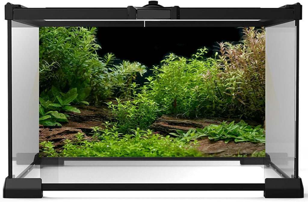 Aquarium Background Underwater Green Grass Leaves Stone Aquarium Backdrop Vivid and Fresh Green Aquatic Plant Stone River Bed and Lake Fish Tank Background Decor Vinyl 72x16in