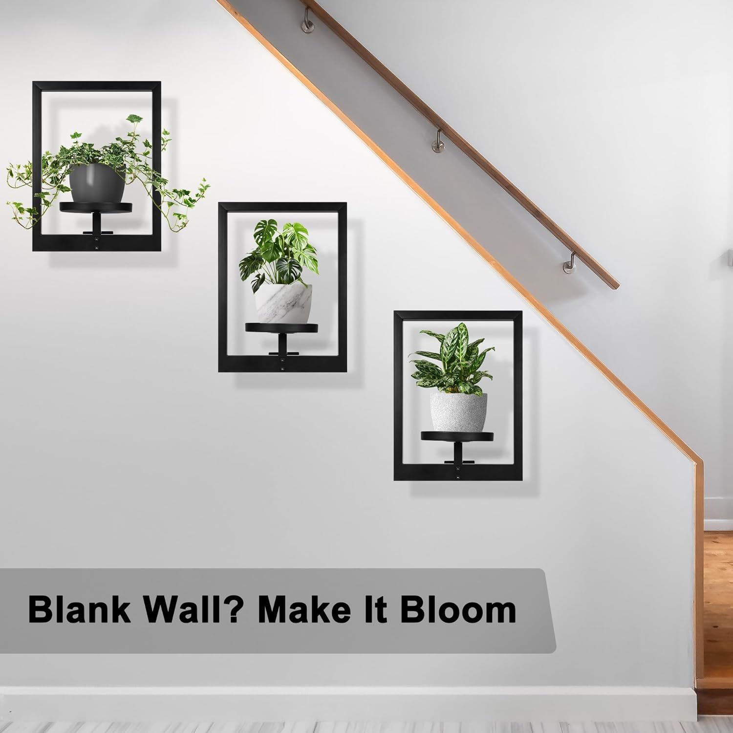 Heavy-Duty Wall Planters for Indoor Plants, Modern Metal Hanging Plant Holders, Picture Frame Wall Plant Shelves for Living Room, Balcony, Patio, Window Garden Décor, 2-Pack