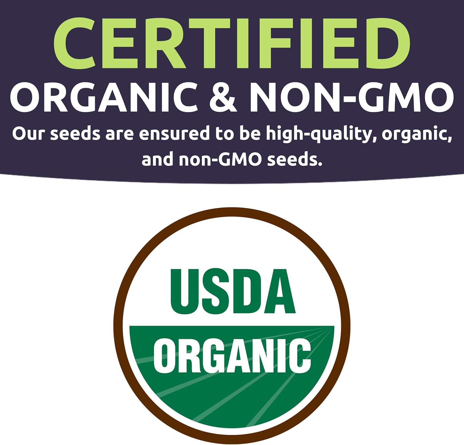 Organic Sweet Pepper Seeds Variety Pack - 6 Individual Packs - 2025 Season - Red, Orange, Yellow, Green and More! for Indoor & Outdoor Planting (Non-GMO, Certified Organic)