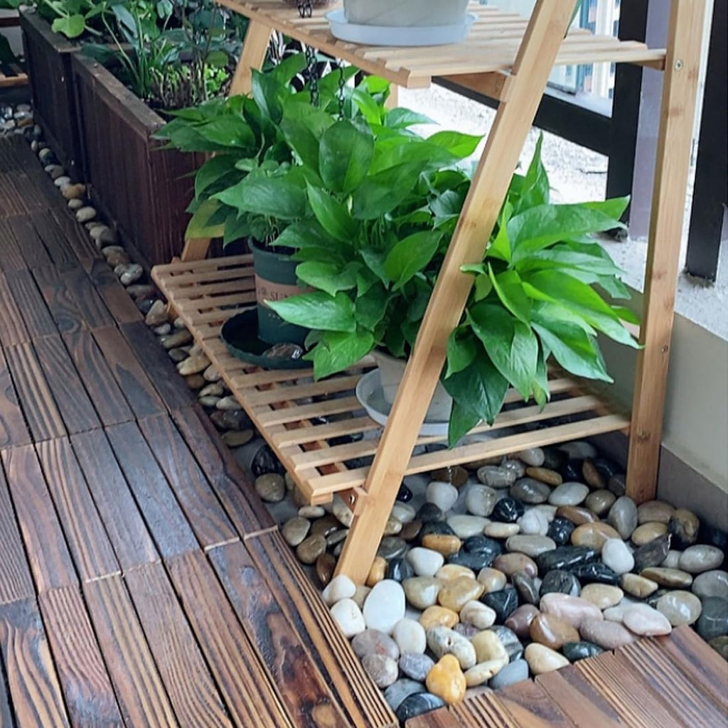 10lbs Pebbles for Indoor Plants, 2-3 Inch Mixed Color High Polished Large River Rocks Outdoor Decorative Stones Vase Filler Fish Tank Aquariums Landscaping Garden Outdoor and Indoor DIY