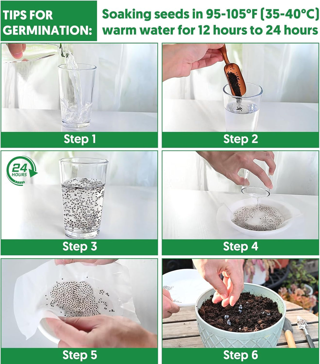 1,500+ Tomato Seeds, Heirloom Vegetable Seed for Planting Indoor Outdoor, 10 Varieties Salad Tomato Seeds Garden Hydroponic Kit, Non-GMO Home Hydroponic Fresh Food Veggie Supply