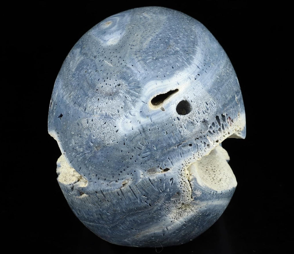 Skullis 5.0" Blue Sponge Coral Realistic Crystal Skull, Hand Carved Gemstone Fine Art Sculpture, Reiki Healing Stone Statue.2898