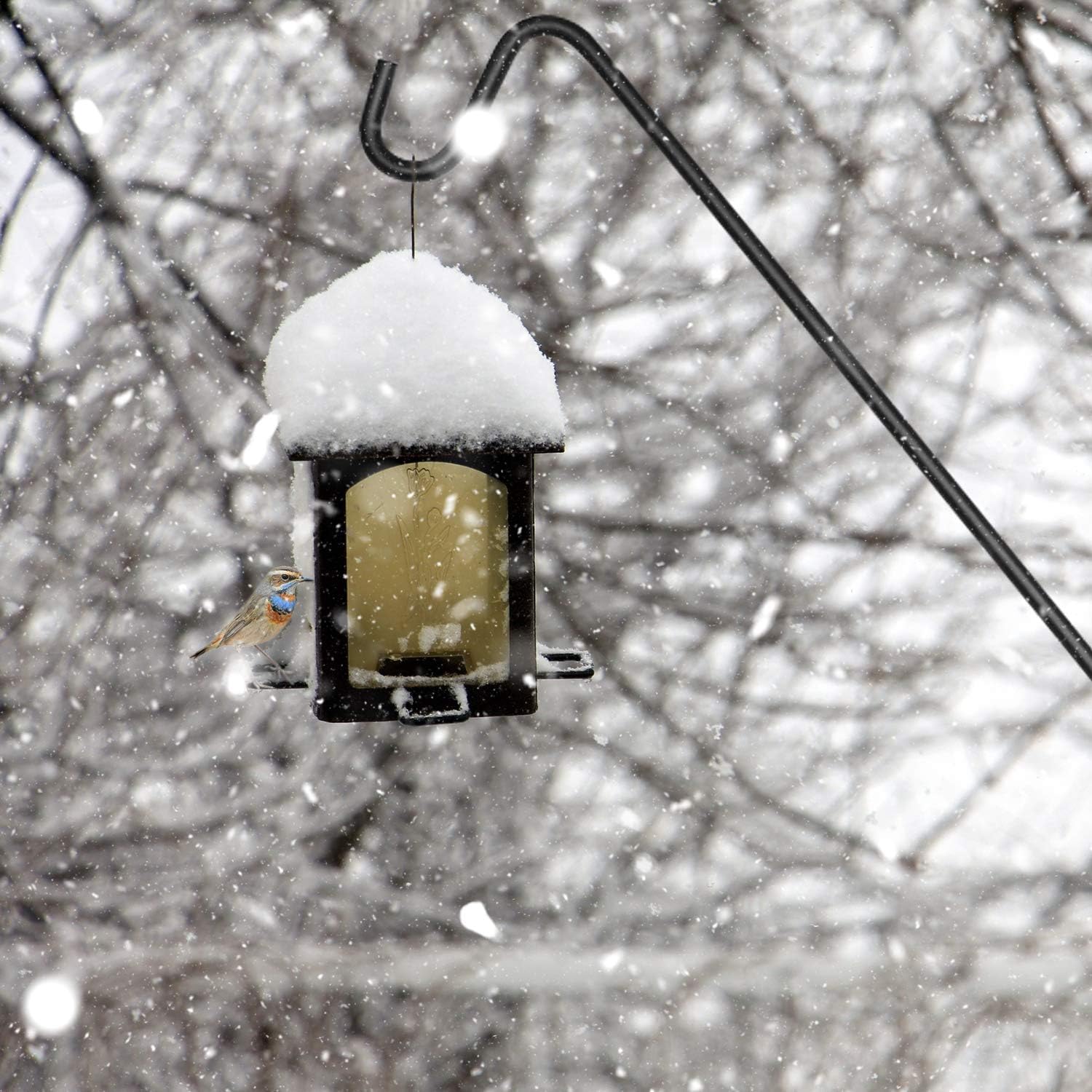 Ashman Deck Hook 32-Inch (2 Pack), Double Forged Solid Metal Single Piece Rod, Ideal for Bird Feeders, Plant Hangers, Coconut Shell Hanging Baskets, and Lanterns.