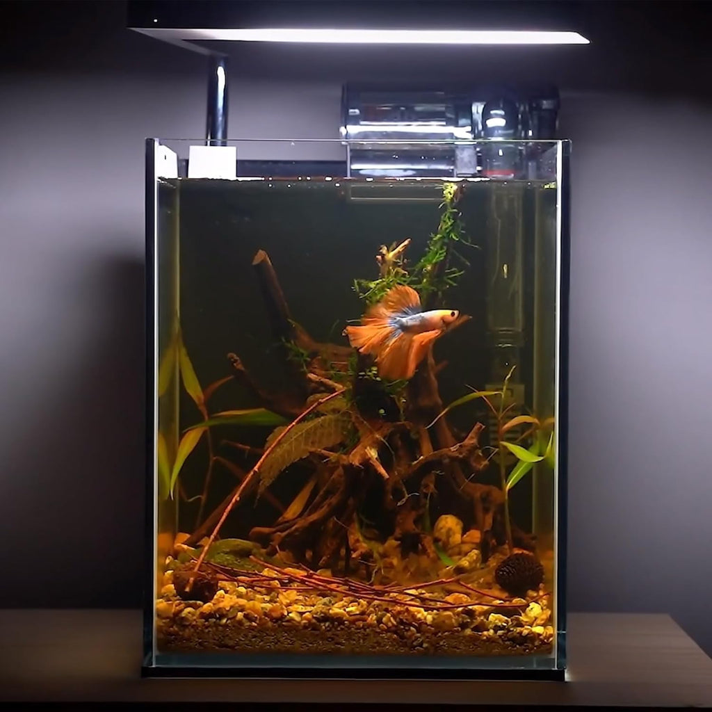 majoywoo Natural Driftwood for Aquarium Decor Fish Tank Decorations, Assorted Spider Wood Branch 4-8" 5 Pcs, Reptile Decor