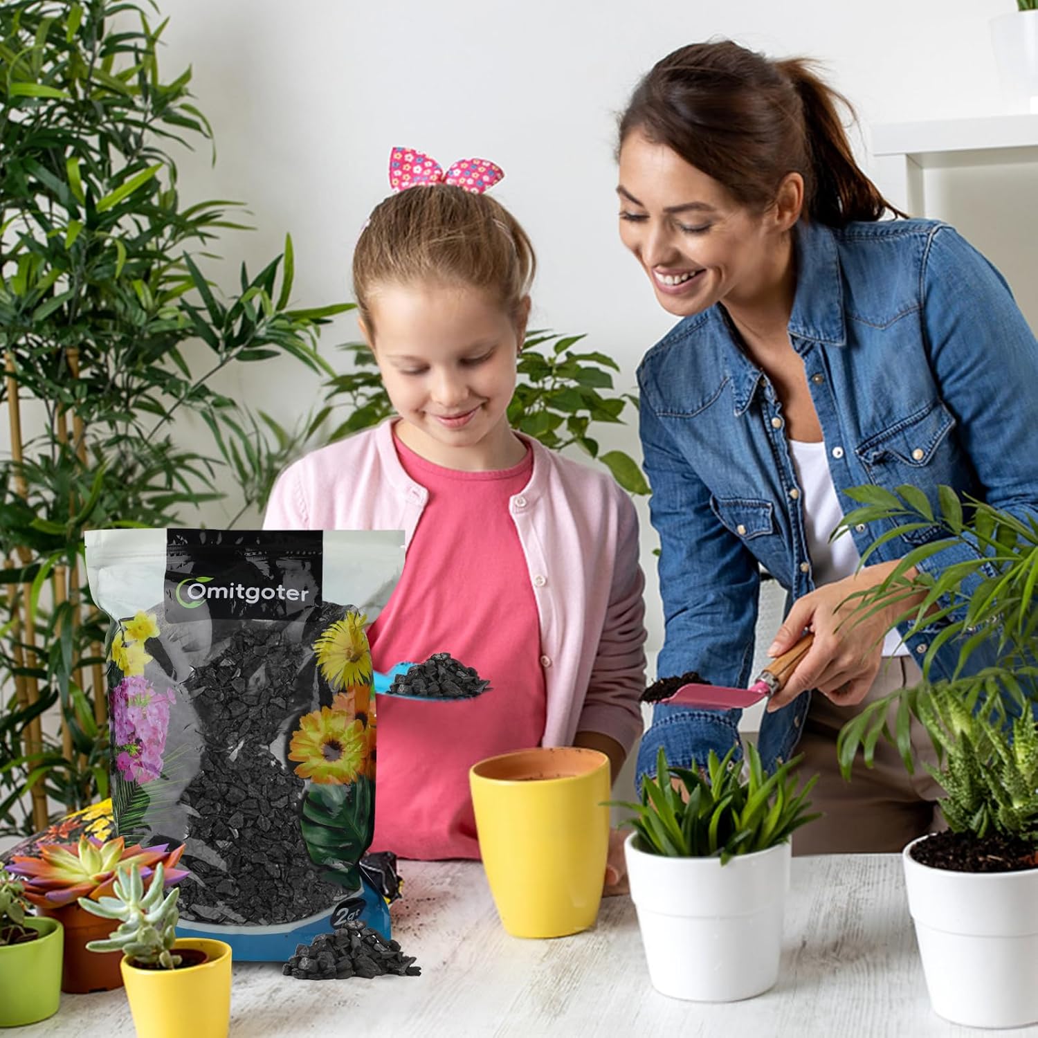 Horticultural Charcoal 2qt for Plants, Actived Charcoal Terrarium Supplies, Suitable for Indoor Plants, Succulent, Orchid, Cactus, Bonsai