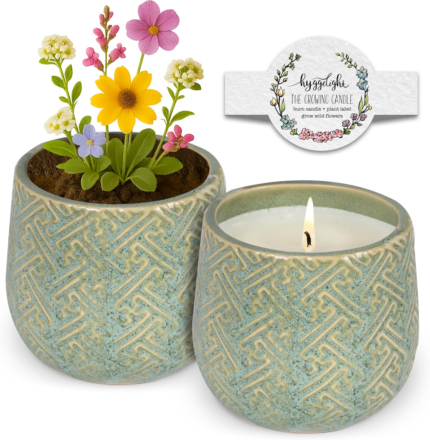 The Growing Candle, Mint & Eucalyptus Scented, 10oz Ceramic Pot, Aromatherapy Candles, 100% Soy, Ida