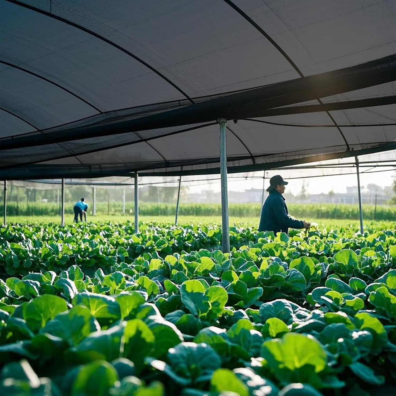 winemana Black Shade Cloth 50%, 6.6x20 FT Mesh Tarp - Garden Shade for Greenhouse, Patio, Vegetables, Plants Cover and Chicken Coops, Sun Shade Net for Outdoor Protection with Reinforced Grommets