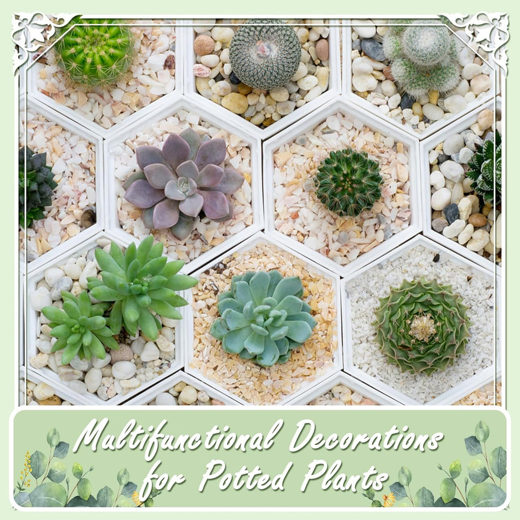 5lbs White Natural River Rocks, Polished Pebbles for Plants Garden, 1-2 inch Decorative White Stones, Ideal for Fish Tank, Vases, Crafting, Home Decor and Garden Landscaping Rocks,White