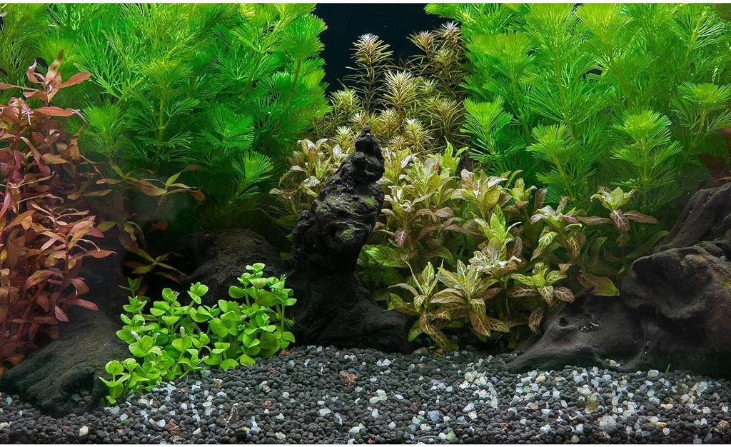 Aquarium Background Exquisite Underwater Grass Leaves with Pebbles Aquarium Backdrop Vivid Green Aquatic Plant Stone with Dead Woods and Fresh Leaves Fish Tank Wallpaper 60x24in