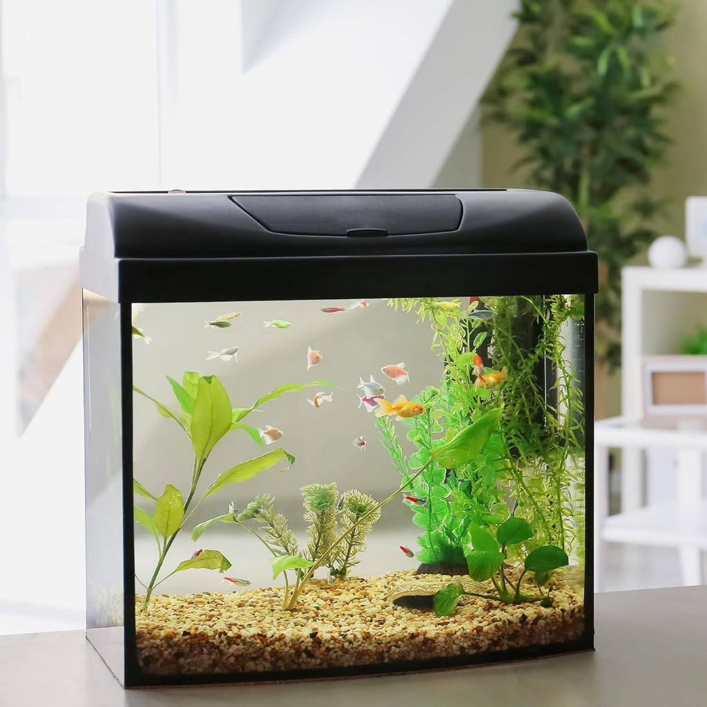 Aquarium Gravel 20 lbs, 3-6mm Fish Tank Gravel, Succulent Cactus Pea Gravel for Indoor Plants, River Rocks for Gardening, Flower Pots, Vase Fillers, Garden Landscaping