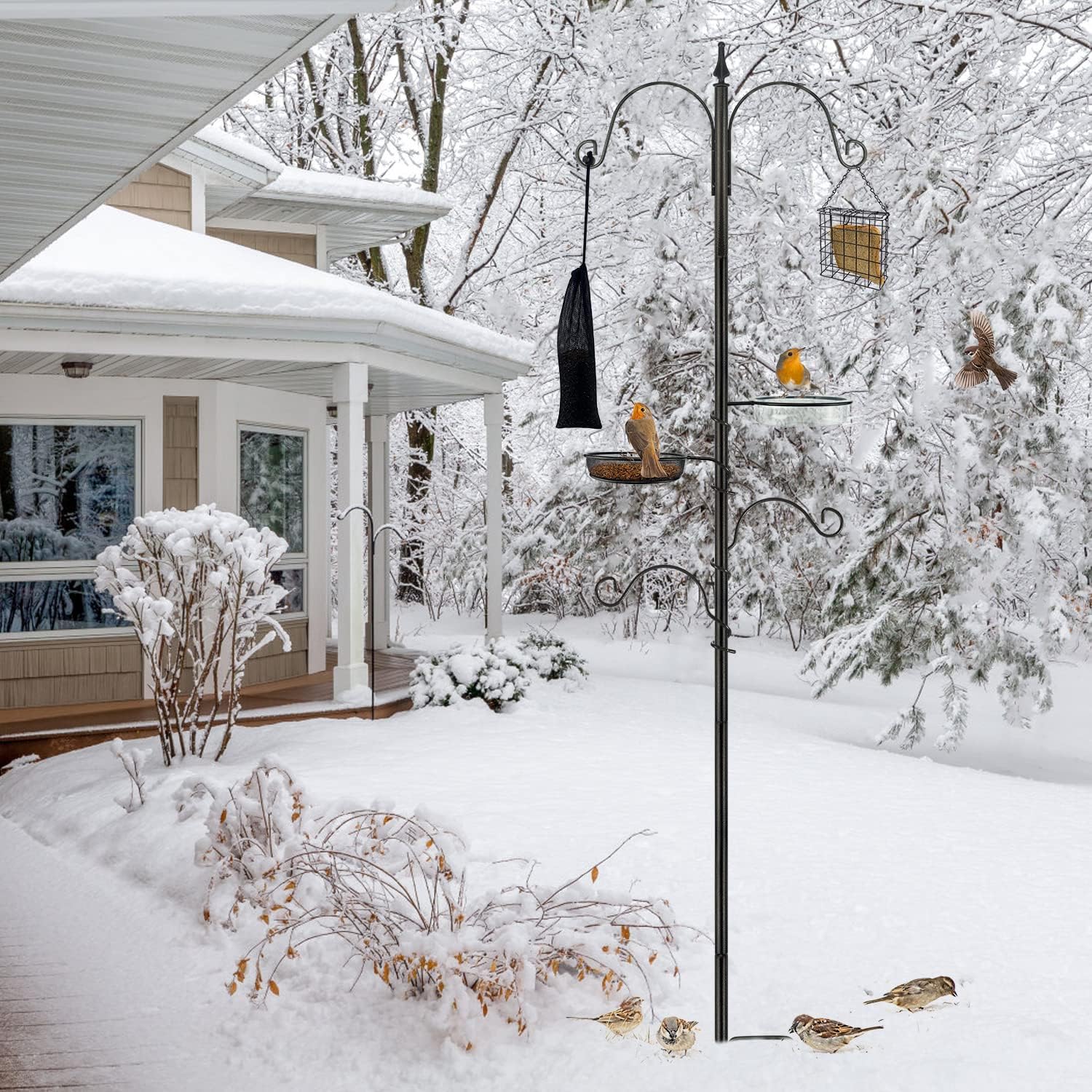 Premium Bird Feeding Station Kit - Multi Feeder Hanging Set with Suet Cage, Bird Bath & Finch Sock Attractors