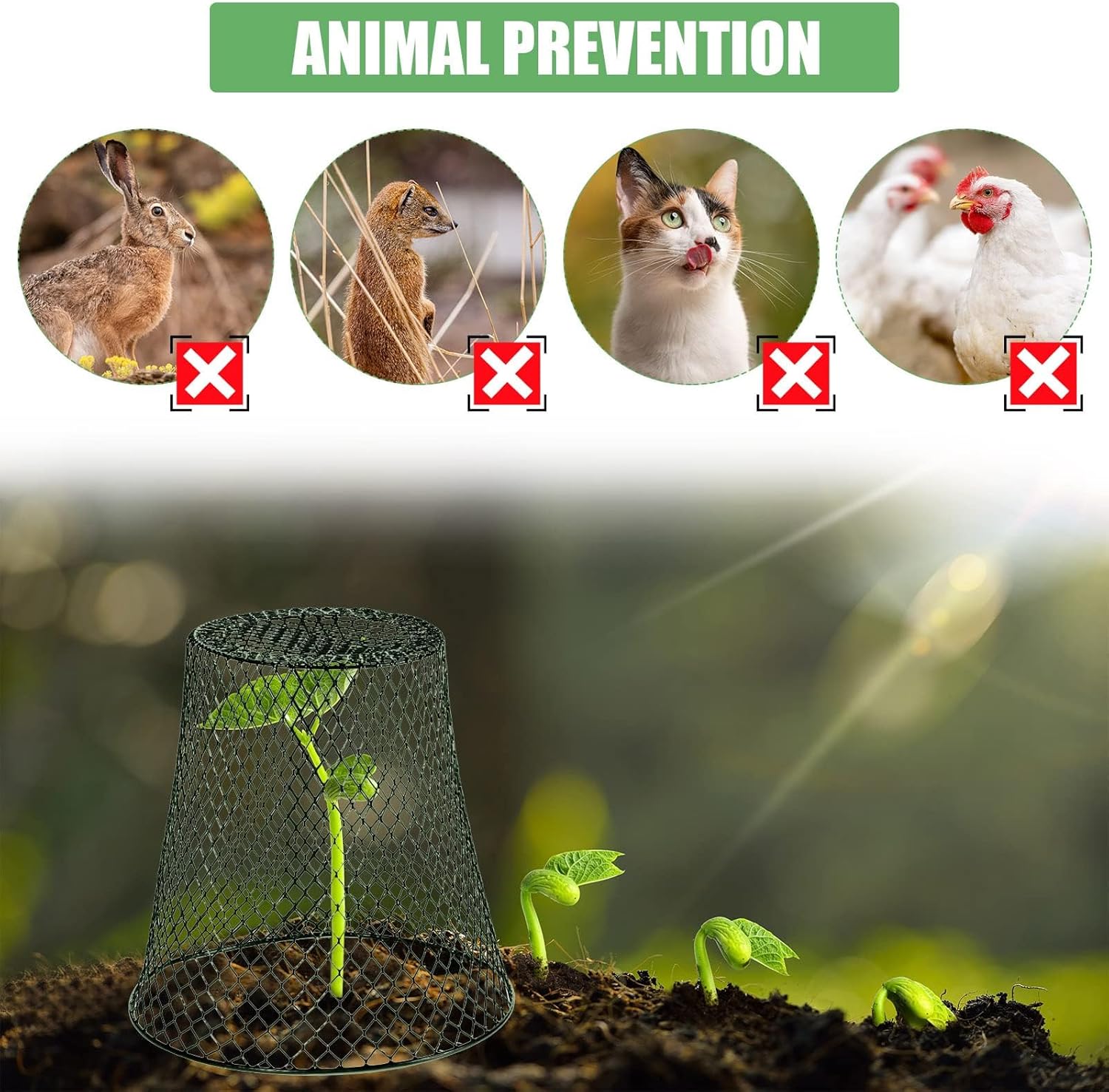 10 Pcs Garden Chicken Wire Plant Covers, 11x11Inch Metal Wire Garden Cloches Chicken Wire Cloche Plant Protector Heavy Duty Garden Plant Cloche for Keeping Bunnies Chicken Squirrels Birds Other Out