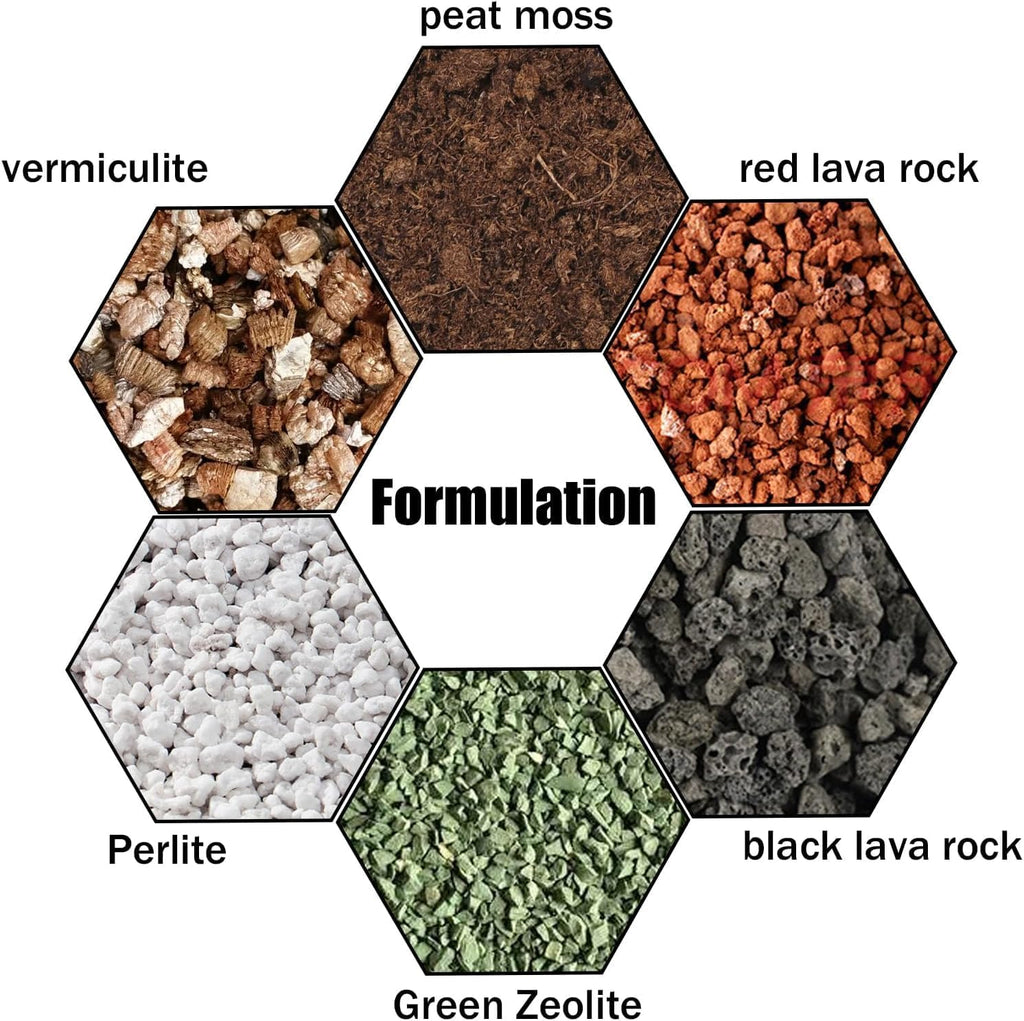 Succulent & Cactus Soil Potting Mix 2qt, Natural Organic Potting Mix for Cactus, Succulent, Palm, and Citrus Grown in Containers Indoors and Outdoors