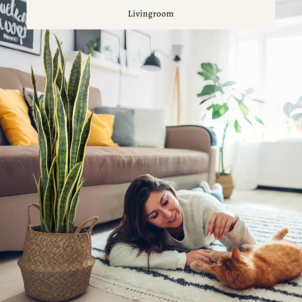 KOL 3ft Artificial Snake Plant, Fake Sansevieria Potted Floor Plants, 32 Lifelike Faux Leaves, Indoor Home Office Room Decoration, Mother-in-Law Tongue, 35in, Yellow