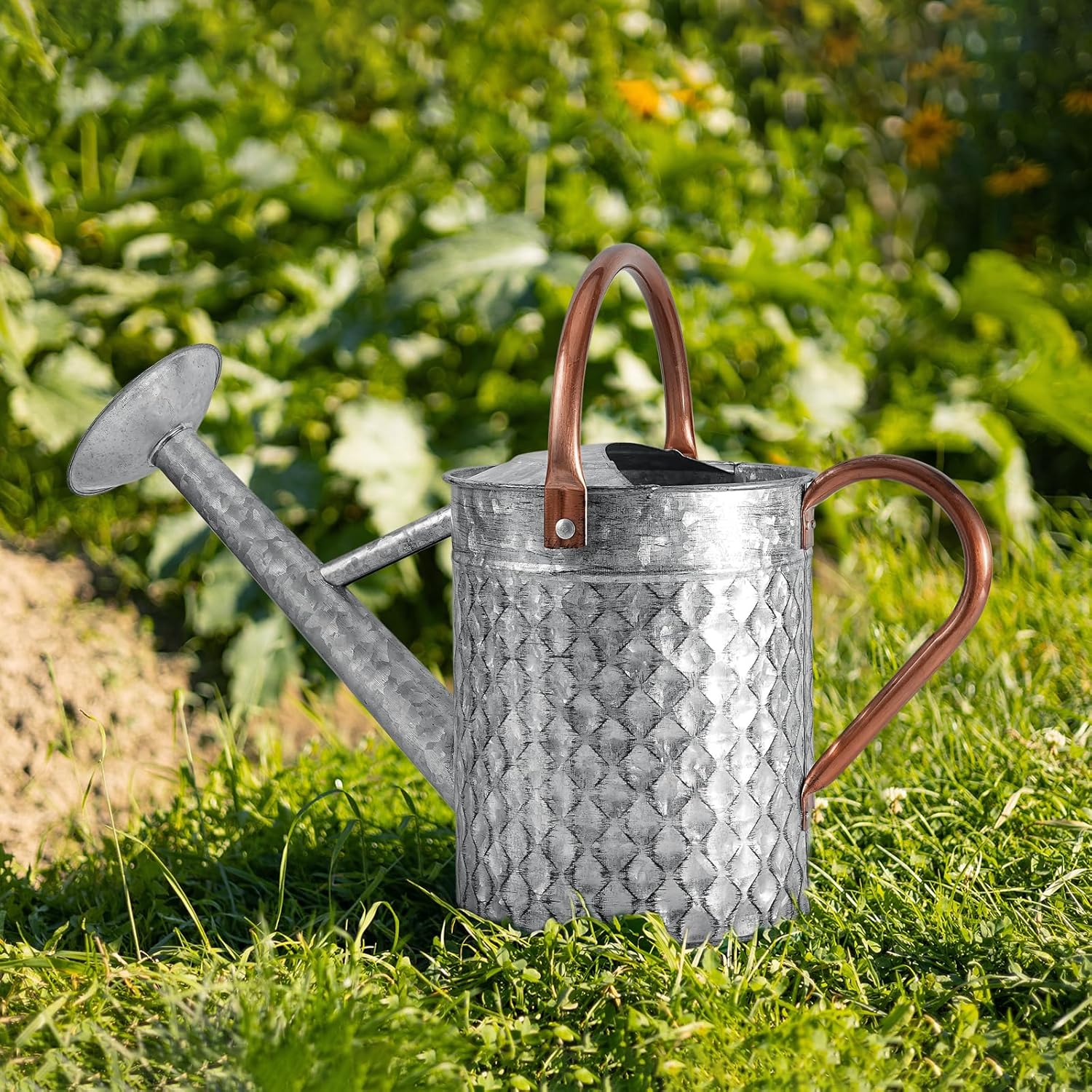 1 Gallon Metal Watering Can for Outdoor Indoor Plants, Galvanized Watering Can with Removable Spray Spout, Ideal for Garden Watering