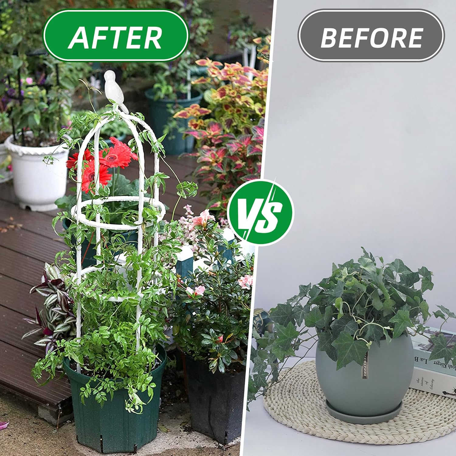 Garden Trellis for Climbing Plants, Rustproof Metal Pipe with Heavy Duty 6ft, Garden Outdoor Indoor Potted Plant Support（White）